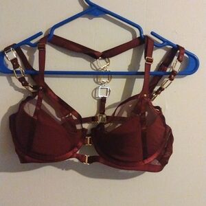 Honey Birdette Bondage bra 34DDD